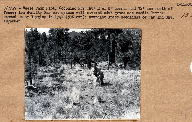 Rees Tank Plot