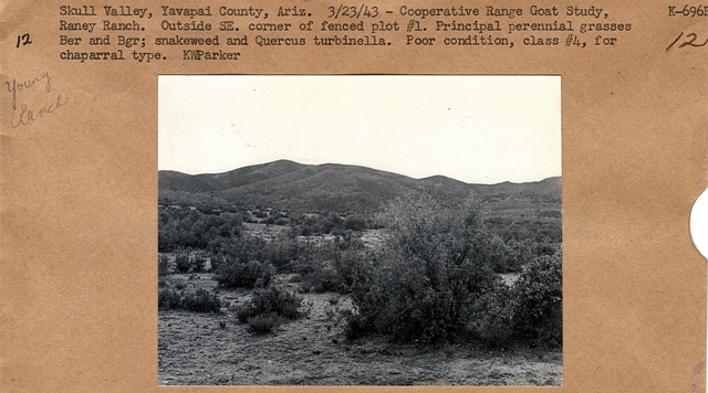 Skull Valley cooperative range goat study