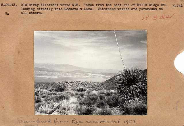 Roosevelt Lake grazing allotment