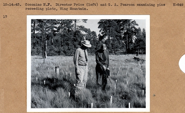 Director Price and Pearson examining reseeding plots