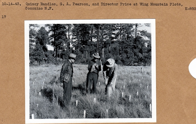Randles, Pearson, Price at Wing Mountain plots
