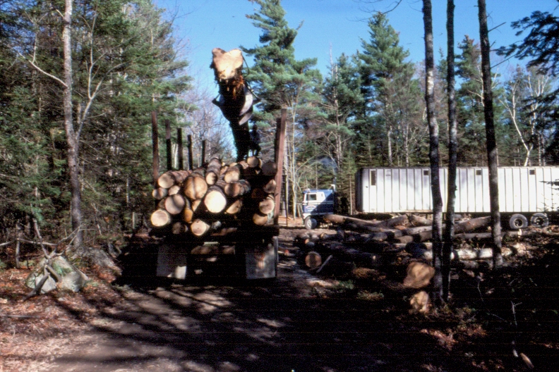 Logging truck loading sawlogs at the landing in the Logging Study, in MU2 in 1984