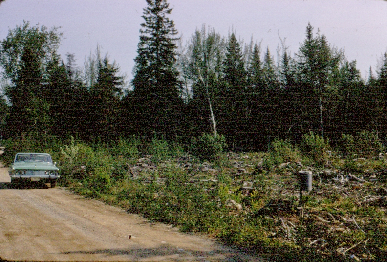 Vehicle on the road next to a strip clearcut in MU33 in the 1960s