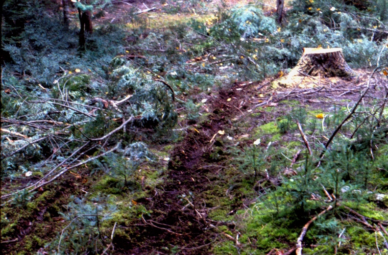 Soil disturbance caused by skidder during selection cutting, in MU90