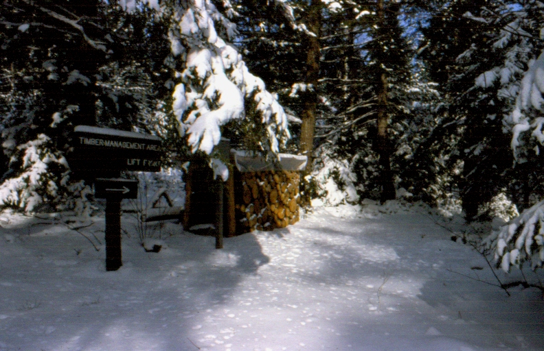 A display of a cord of wood in MU90