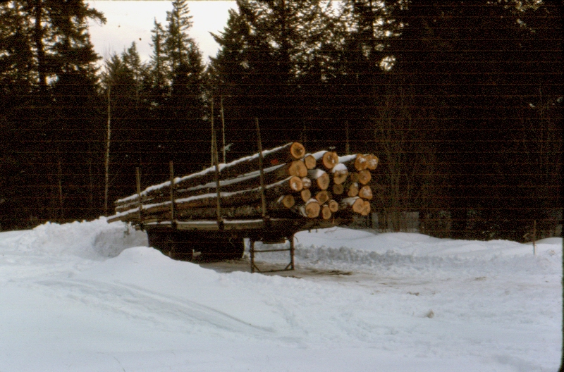 Logs on trailer, in winter 1977