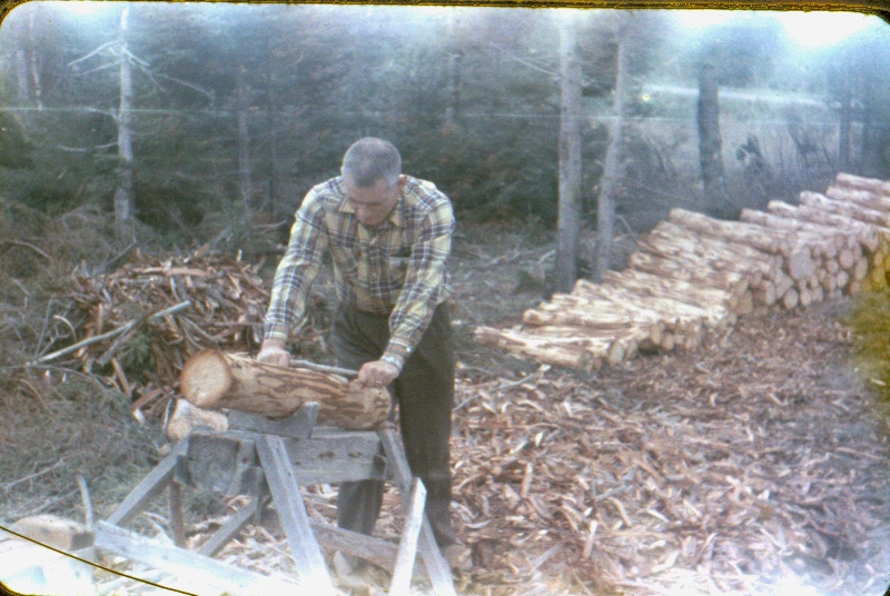 Arthur Hart debarking logs, peeling pulpwood with a bark spud