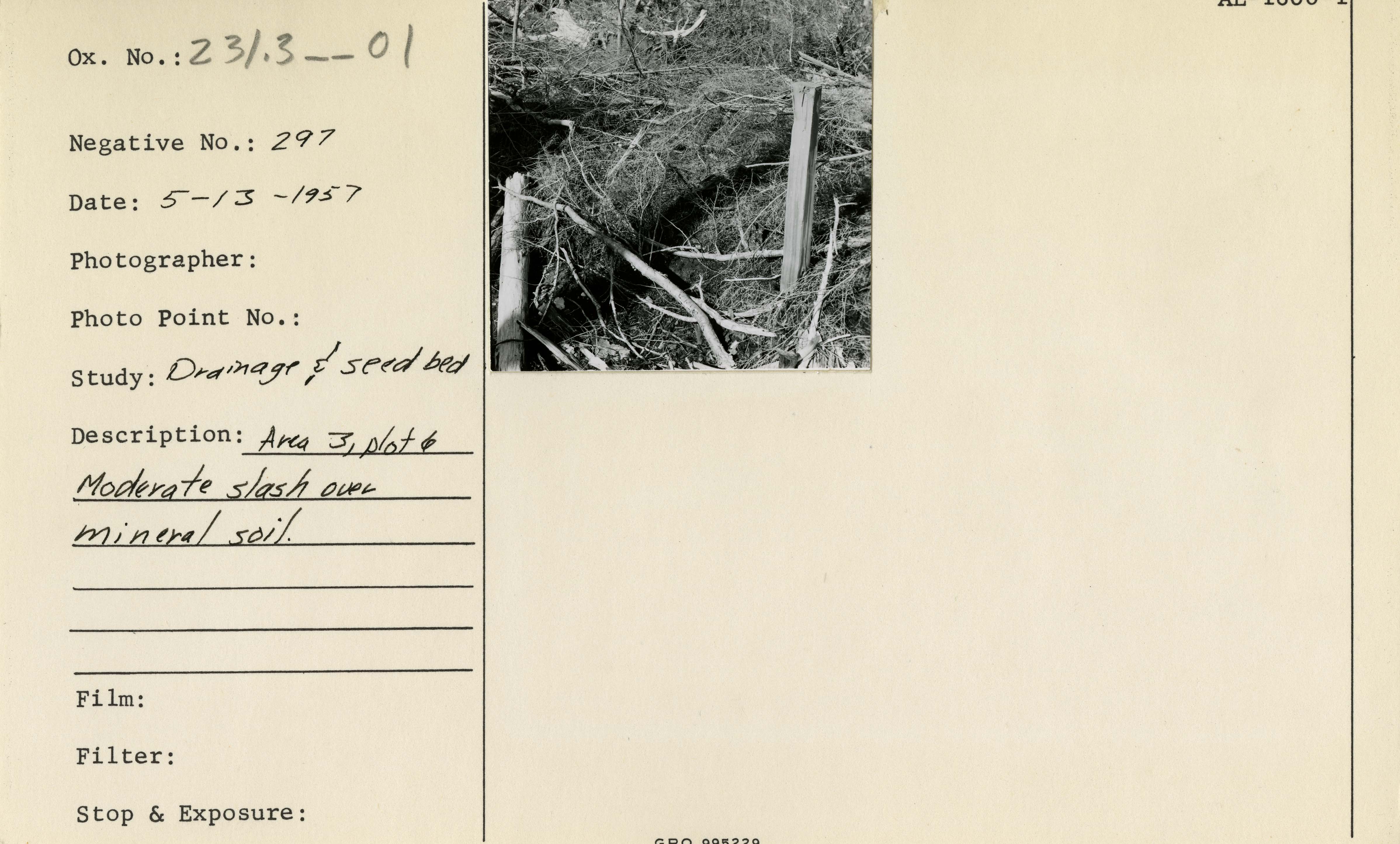 Area 3, plot 6. Moderate slash over mineral soil.