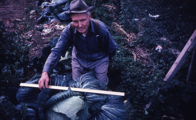 1352 man with large cabbage circle hot springs Alaska