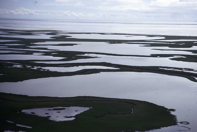 Copper River Delta