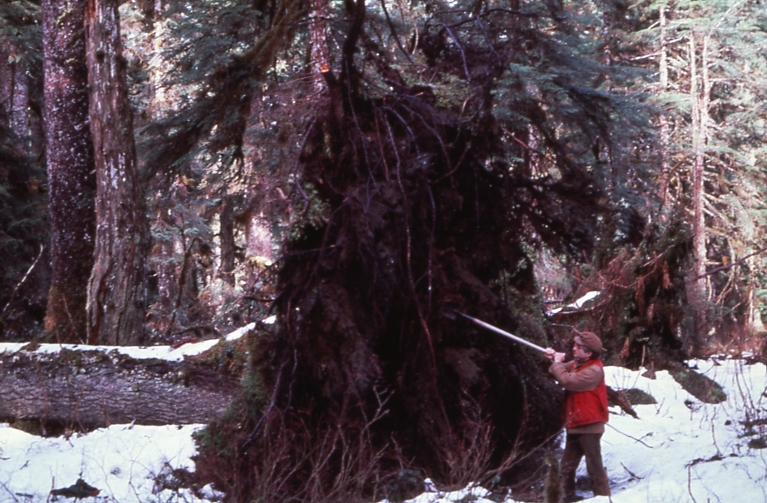Yakutat 4/81 blowdown