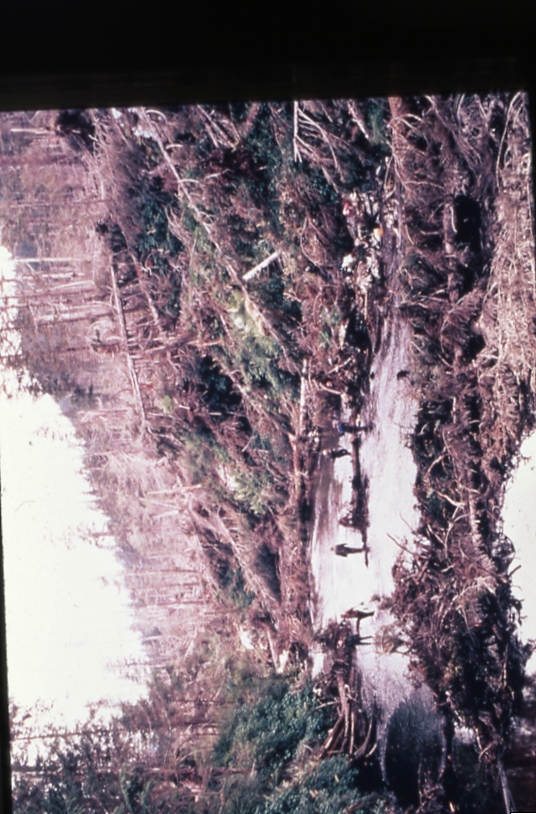 Blowdown basket bay 1972