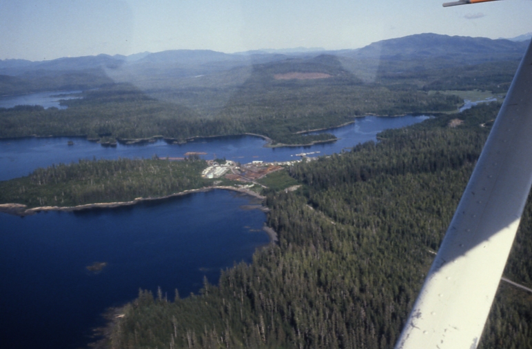 Coffman cove 6/81