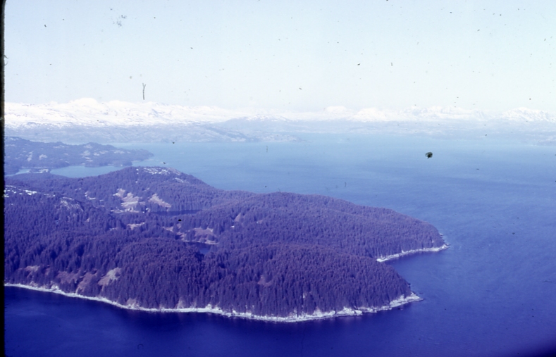 Cone crop Kodiak Is cones from 1975-6 crop 6/8/76