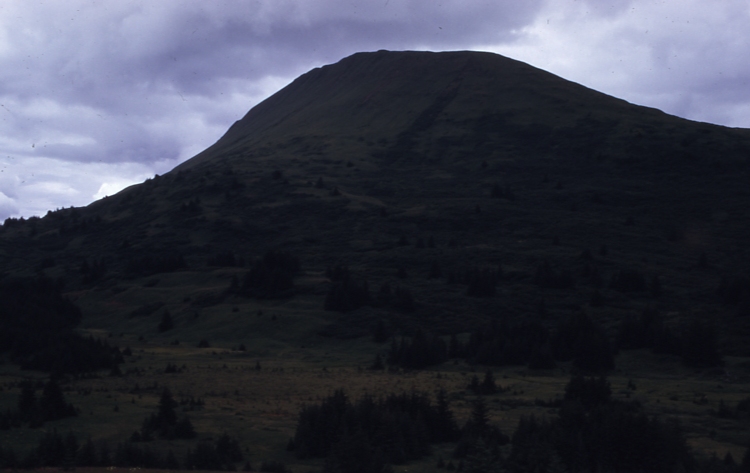 Muskowee Hill opposite plantation 7/25/74 Muskowee Hill opposite plantation 7/25/74