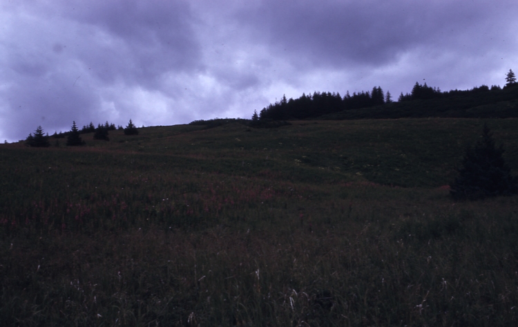 Muskowee Plantation 7/25/74 Muskowee Plantation 7/25/74