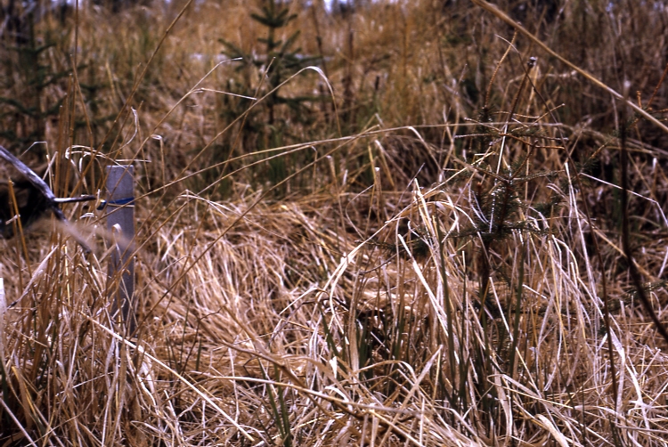 Afognak 6/7/73 T-3-14 control Valley sale