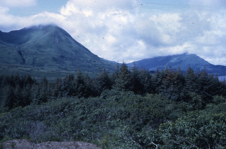 Kodiak