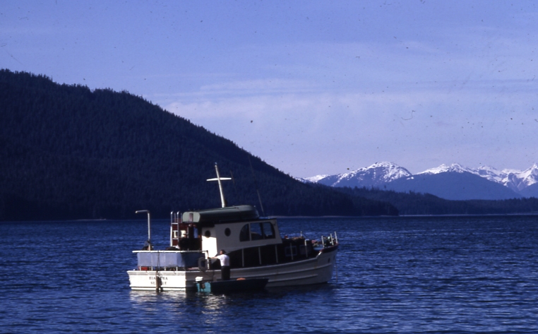The Hiawatha (Foster skipper) taken south of Hoonah