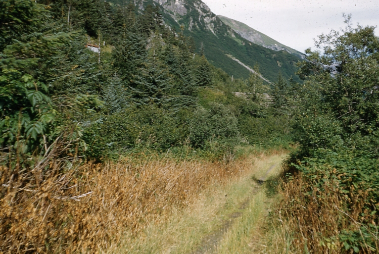 Perseverance Trail between stake 1 & 2 1/2 #/gal 36# applied 7/28/51 Perseverance Trail between stake 1 & 2 1/2 #/gal 36# applied 7/28/51