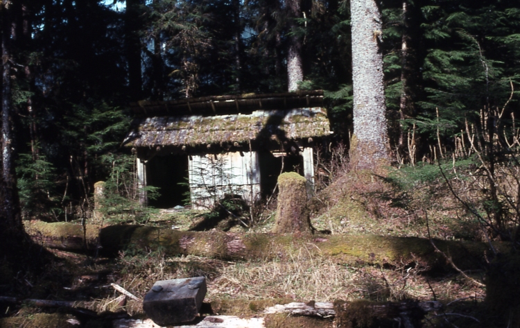 Old CCC cabin at Crystal Creek, Thomas Bay