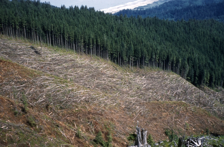 Area logged with Skagit skyline crane cascade head July 1961