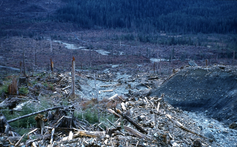 Hollis Maybeso valley May 62