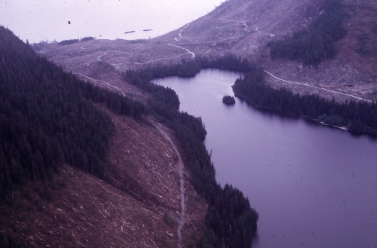 Mini fringe Sitkoh lake