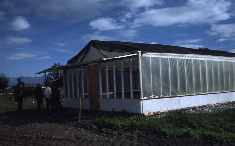 Greenhouse Palmer
