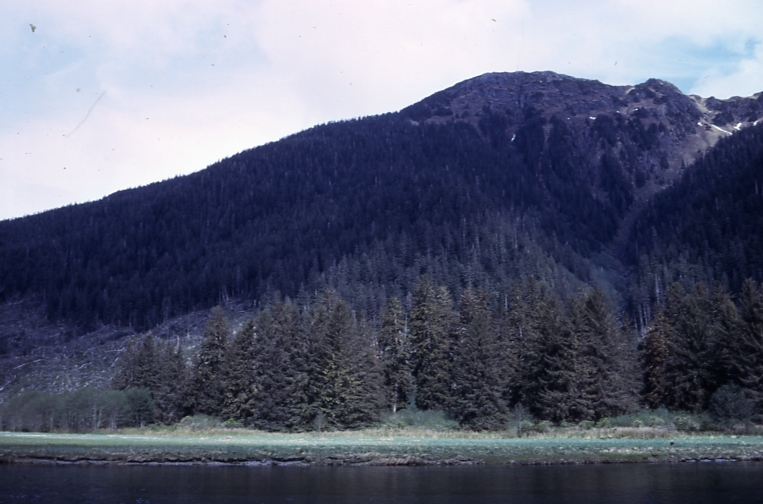 Spruce & Alder Nakwasina Passage