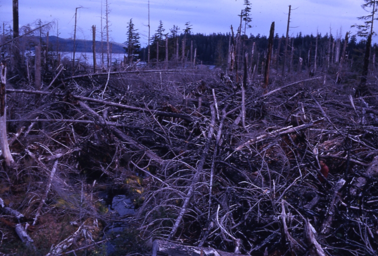Burned island Tlewak narrows May 6 1963
