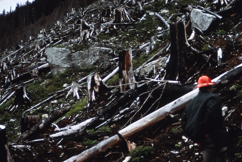 Sitkoh lake burn 1968 fuel consumption & surface condition Sitcoh Lake N Tongass NF 7/14/70