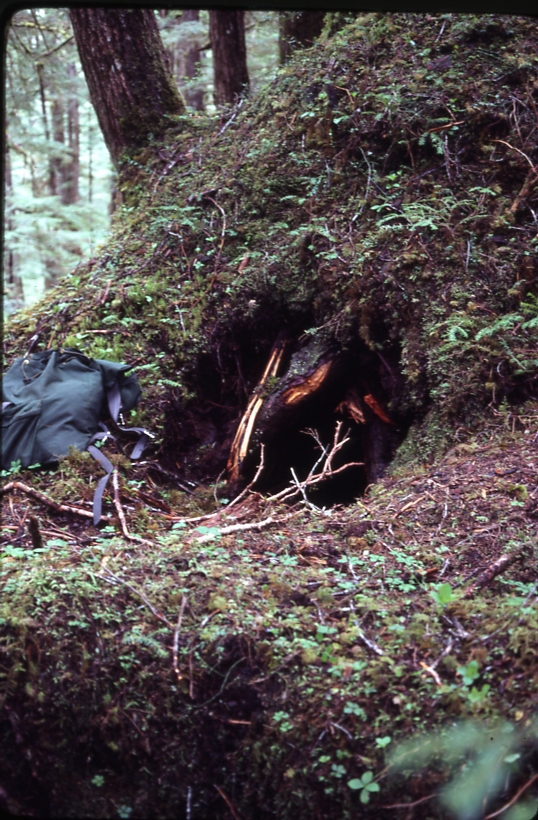 Bear Den- Alvin Bay 5/27/81