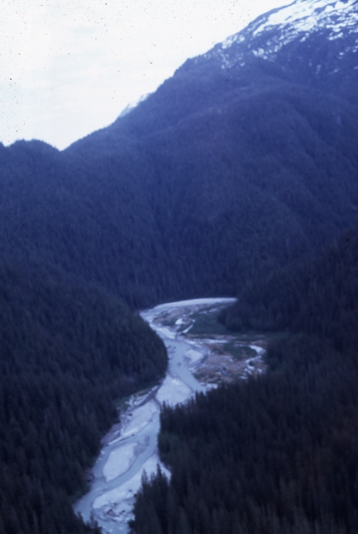 Farragut River looking upstream
