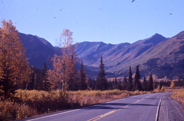 Fall on the Sterling Highway