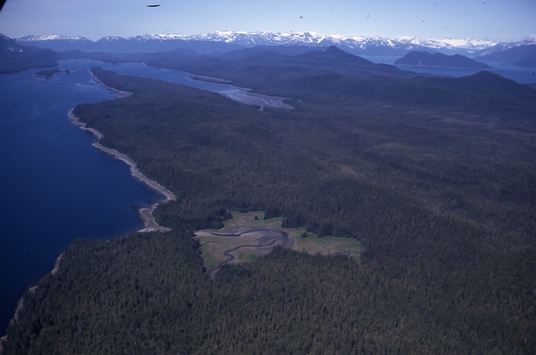 Glass Peninsula Fool Island