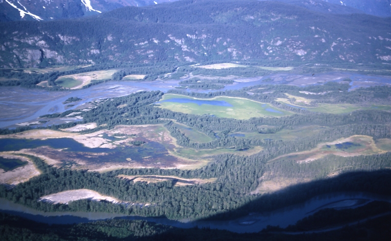 Chilkat river June 13 1965