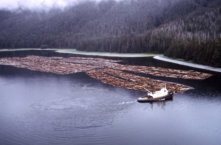 Log rafting and dumping can alter the marine environment