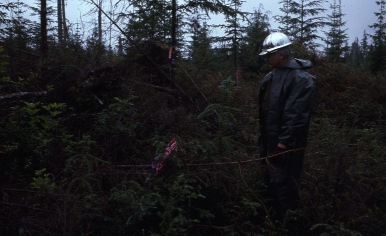 Thomas Bay Thinning Plot