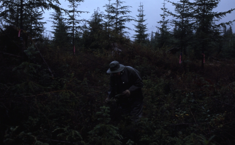 Thomas Bay Thinning Plot