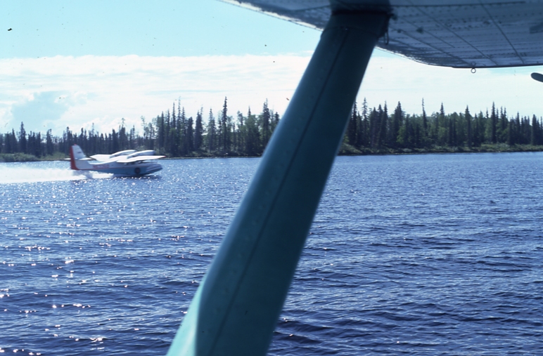 Tyonek sale 6/18/76; widgeon