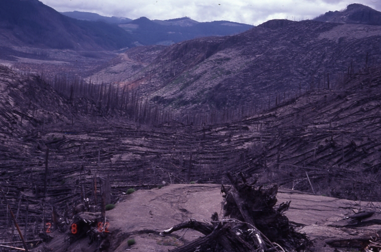 Mt St Helens area 6/28/82