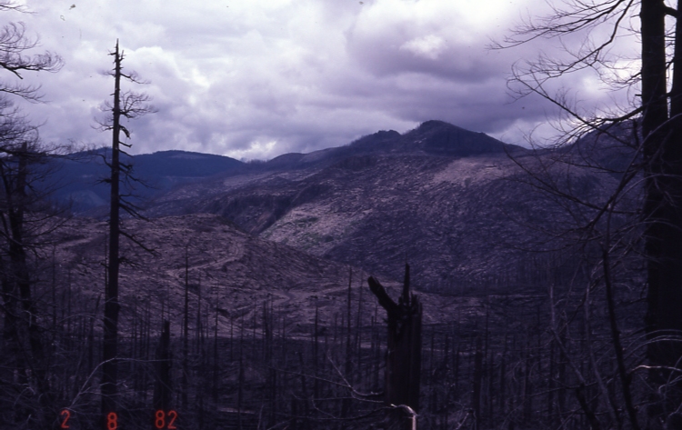 Mt St Helens area 6/28/82