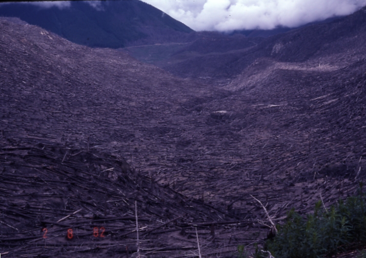 Mt St Helens area 6/28/82