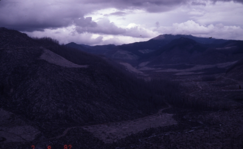 Mt St Helens area 6/28/82
