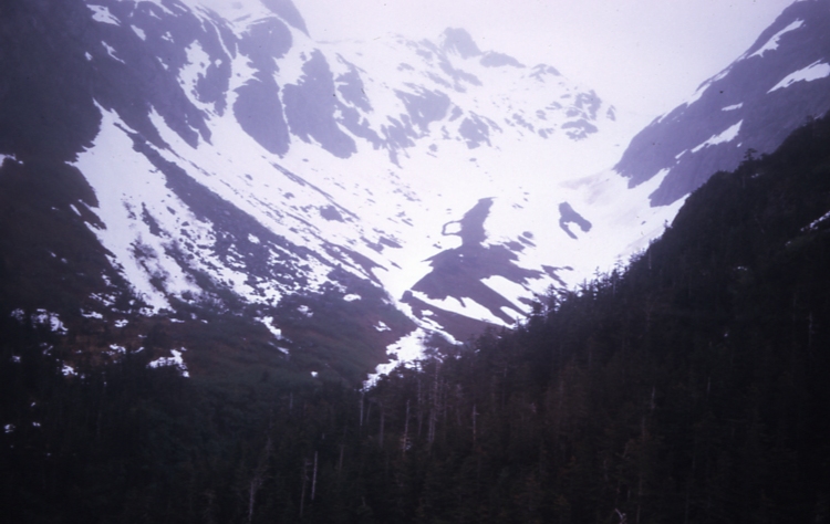 Basin- cove N of Stag Bay 6/24/73