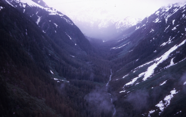 Saltery River 6/24/73