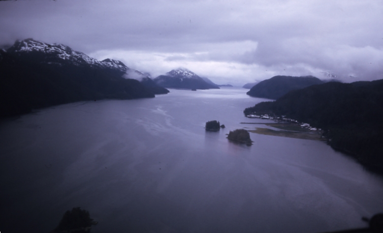 Pelican on Lisianski Inlet 6/24/73