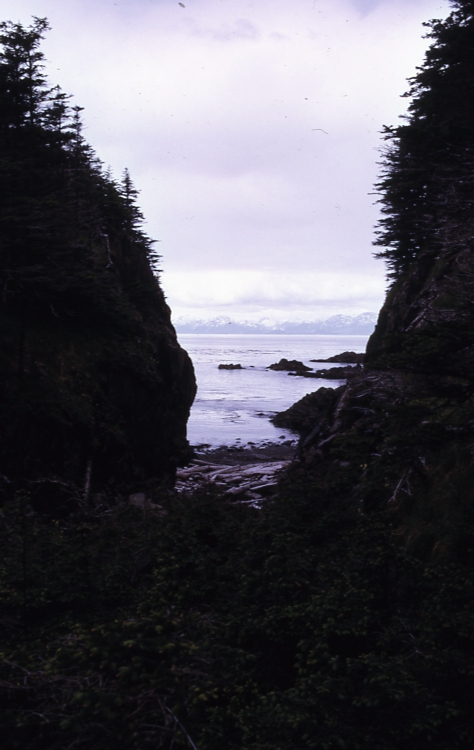 Pt Bingham looking N toward Taylor Bay 6/26/73