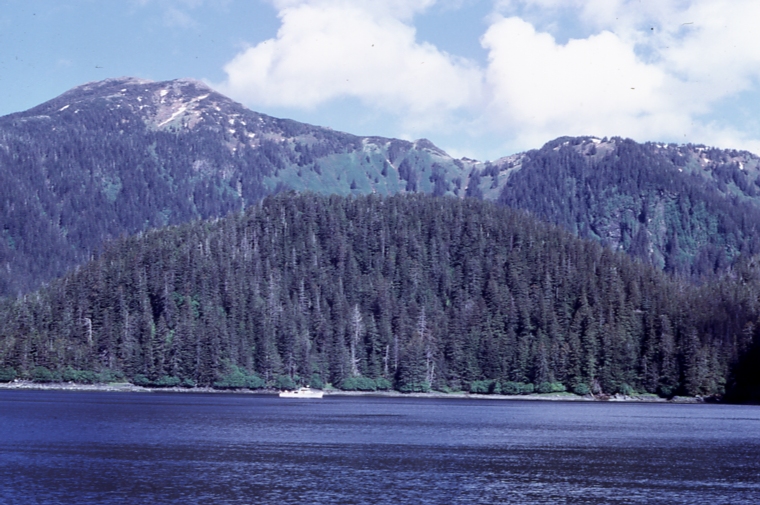 M/V Sitka Ranger in Goulding Hbr Mt Douglas in Background 6/19/73